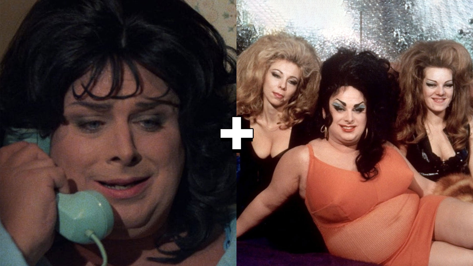 Polyester + Female Trouble