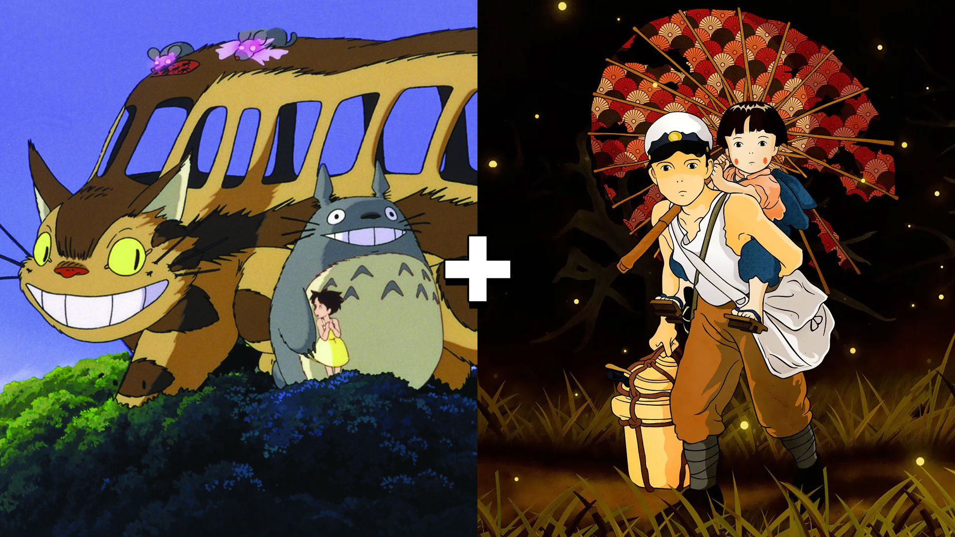 My Neighbor Totoro + Grave of Fireflies